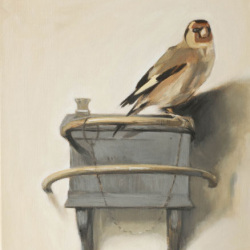 Le Chardonneret